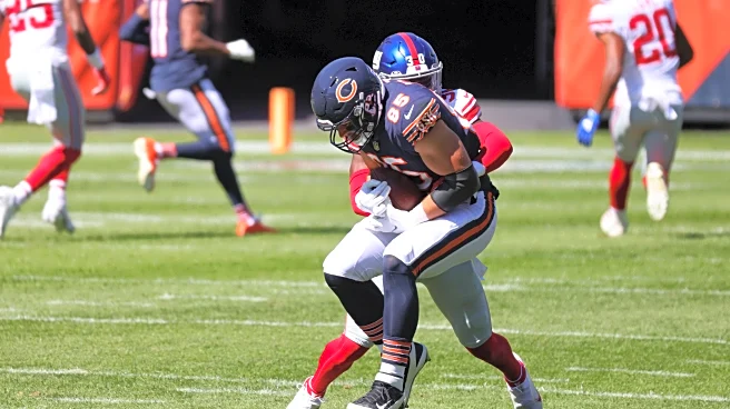 Bear Bones: Getting you ready for Bears vs Giants