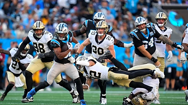 Interview with the Enemy: Carolina Panthers