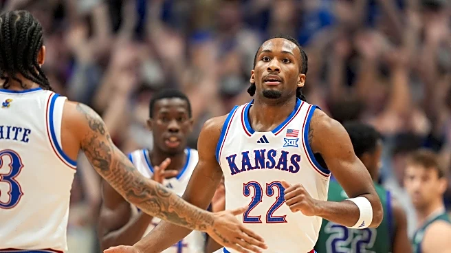 The Daily Mauling: 11/7/25