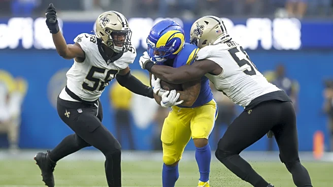 Our defense vs. their offense: Carolina Panthers