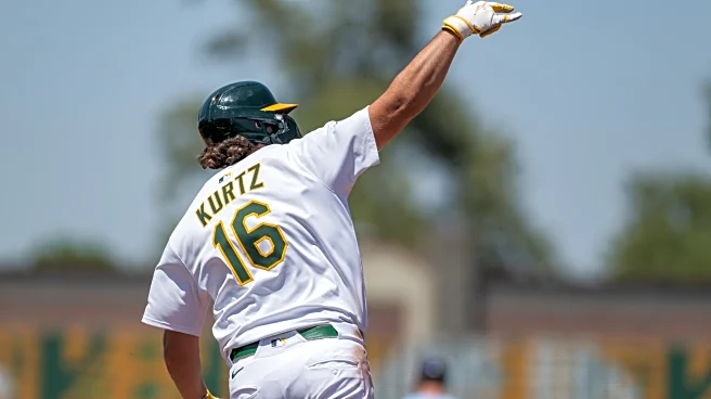 Elephant Rumblings: AL Silver Sluggers announced today