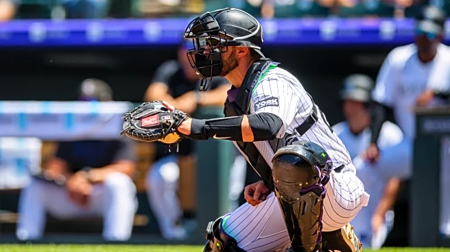 Austin Nola was a typical veteran backup catcher cameo