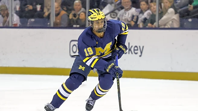 Michigan Hockey Preview: No. 2 Wolverines host No. 10 Wisconsin