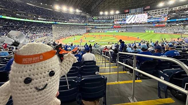 What it was like at World Series Game 7 in person