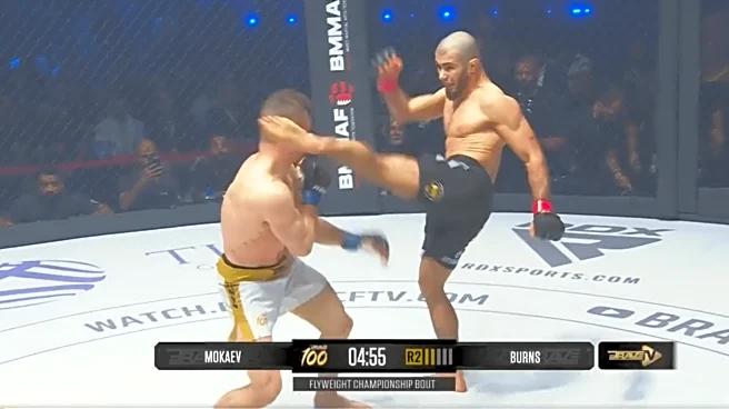 Video: Muhammad Mokaev wins title with head knockout at Brave CF 100