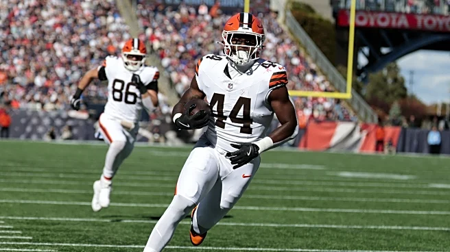 Saturday Dawg Chow (11/8): Jets preview, QB draft talk, new play caller, and more!