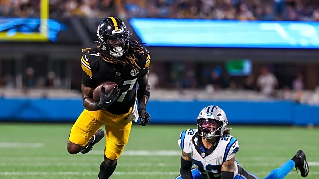 Steelers sign two players to active roster ahead of Week 10