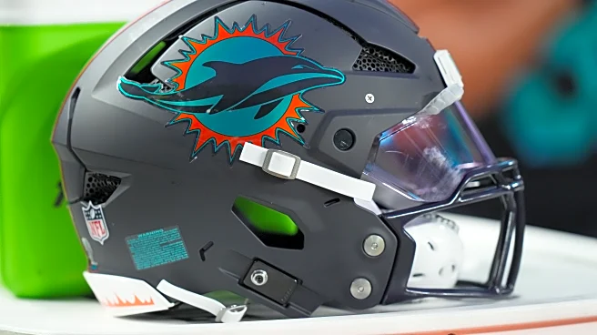 Miami Dolphins announce 2025 NFL Fan of the Year Winners