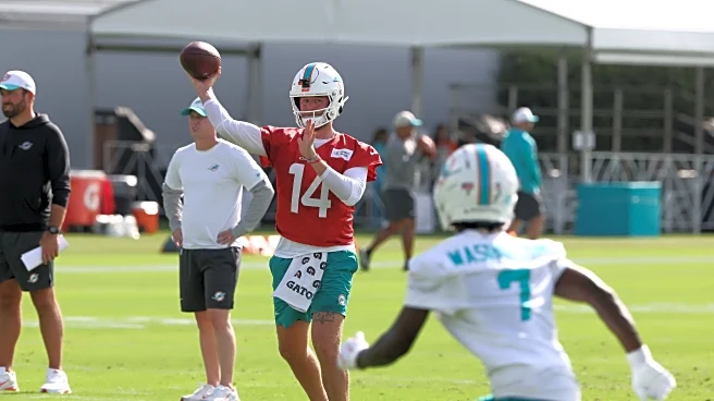 Dolphins fans sound off on what should come next!