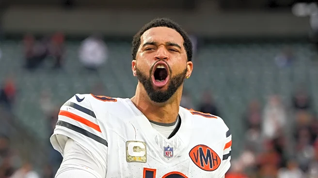 The fans have spoken, the Bears are back!