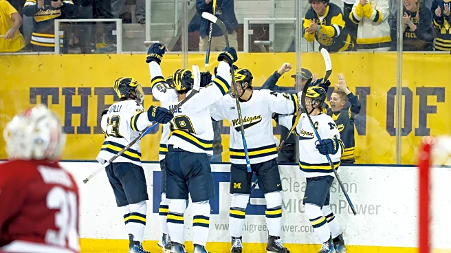 Michigan Hockey recap: Wolverines split series with Wisconsin