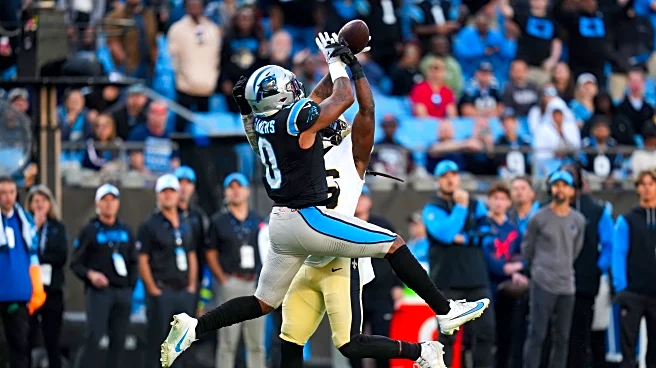 Panthers vs Saints: Open game thread