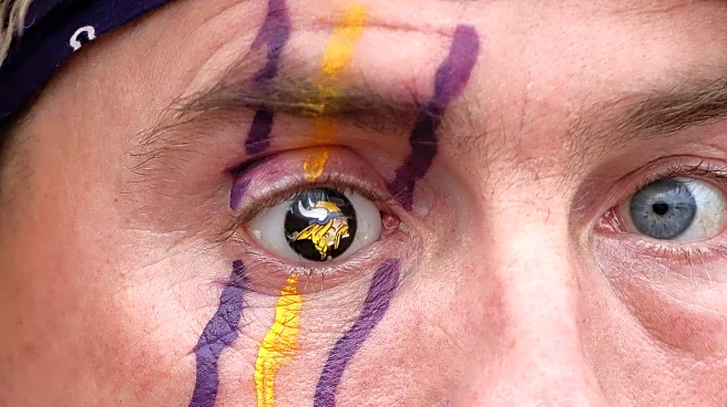 Baltimore Ravens at Minnesota Vikings: Key Information and First Quarter Discussion