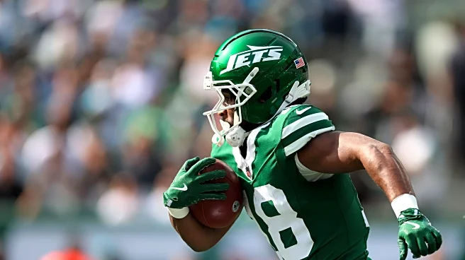 Illinois great Isaiah Williams returns punt for TD