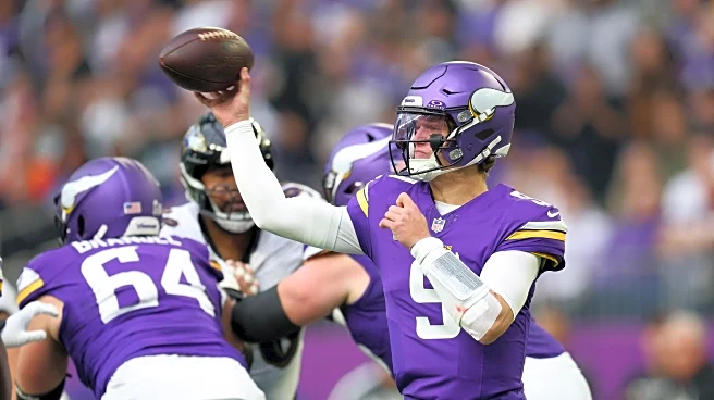 Baltimore Ravens at Minnesota Vikings: Second Quarter Recap and Third Quarter Discussion