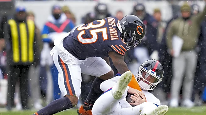 It’s A Bears Win Den, November 10, 2025