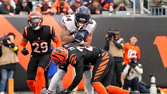 Bengals get “F” grade in midseason report card