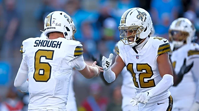 What are the odds? Week 11 NFC South edition