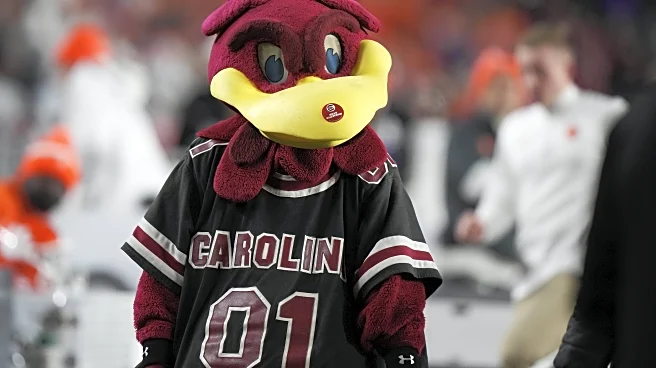 First Glance: South Carolina Gamecocks