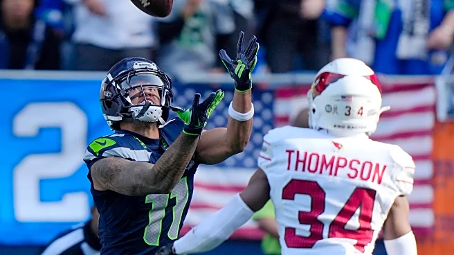 Enemy Reaction 2025: Arizona Cardinals (Act II)