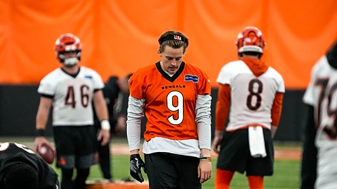 Bengals News (11/11): Joe Burrow returns