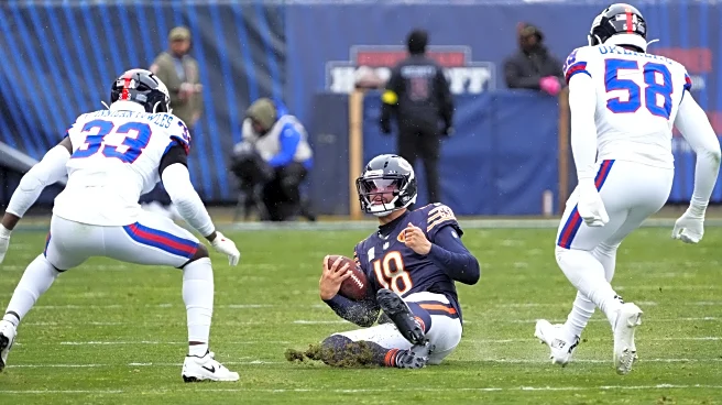 The Bear’s Den, November 11, 2025