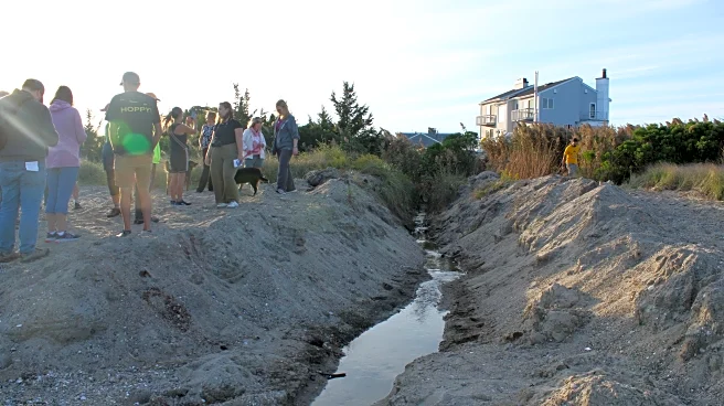 Phillies news: Bryce Harper, prospects, Max Scherzer