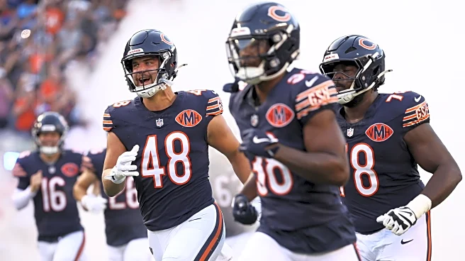 Report: Detroit Lions trying out rookie tight end