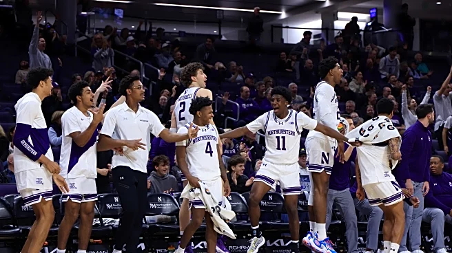 These are some cool ‘Cats