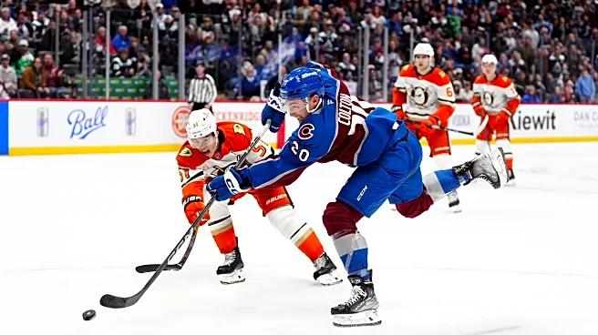 Preview: Avs look to ground the high-flying Ducks