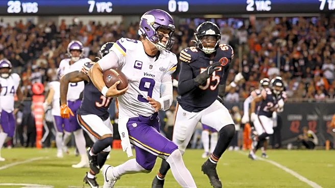 Minnesota Vikings Odds: Vikings Favored to Sweep Bears
