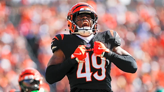 Cincinnati Bengals Midseason Rookie Roundup