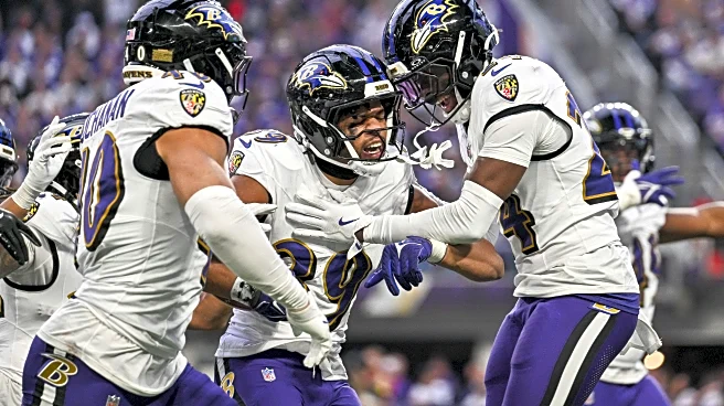 Ravens vs. Vikings: Week 10 Rookie Report