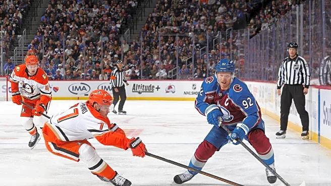 Recap: Avalanche squash Ducks 4-1