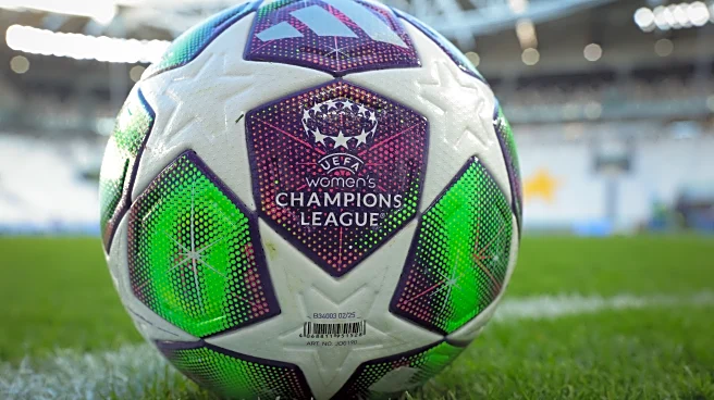 The Daily Zona Mista: Wednesday, Nov. 12