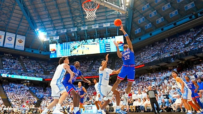 The Daily Mauling 11.12.2025