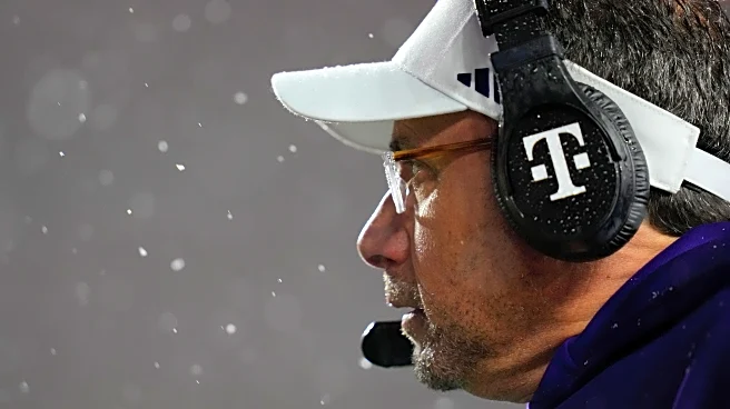 Wednesday Dots: Fisch in the Sea