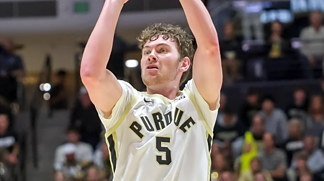 Hammer and Rails Reader Reacts Survey – Best Basketball Newcomer*