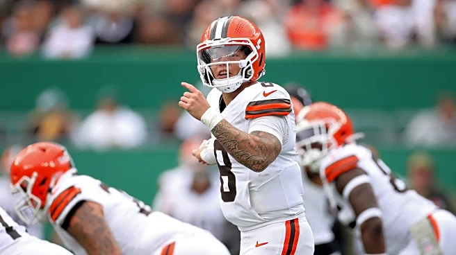Daily Dawg Chow 11/14: Browns news, Injuries, QB Struggles, Predictions
