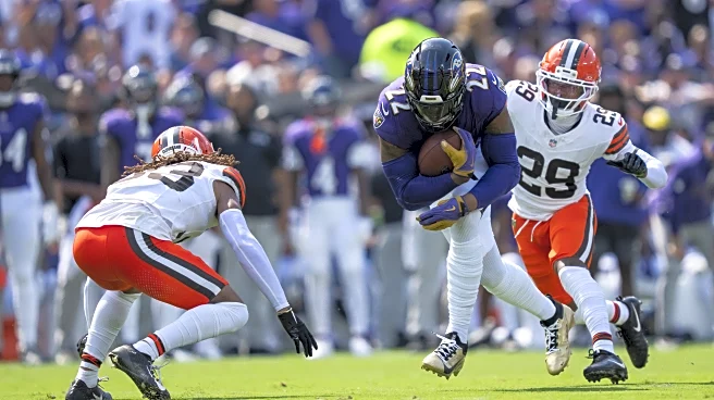 AFC North Preview, Week 11: Divisional matchups occur as first place race tightens