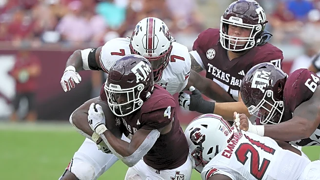 Fun With Numbers: South Carolina Gamecocks