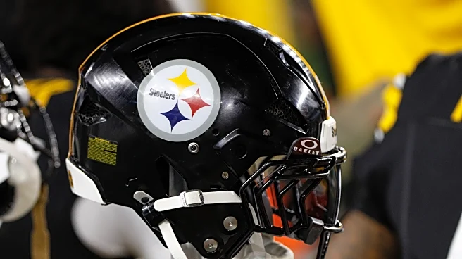 Steelers sign veteran running back
