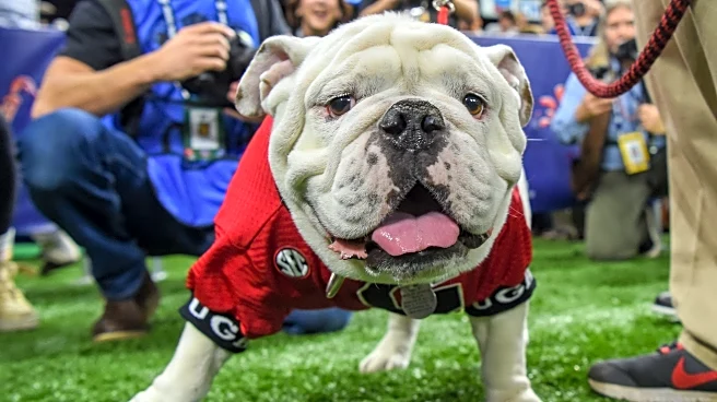 The 5 College Football Games to Watch in Week 12