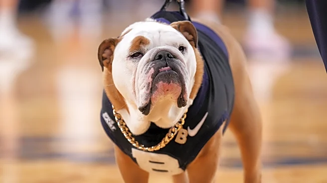 Marquette Volleyball Preview: at Butler & at RV Xavier