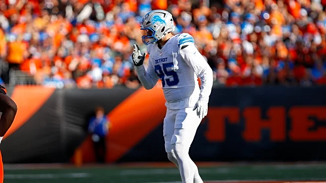 Detroit Lions place veteran defensive lineman on IR