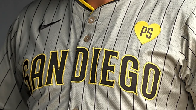 Can the Padres be successful without Peter Seidler?