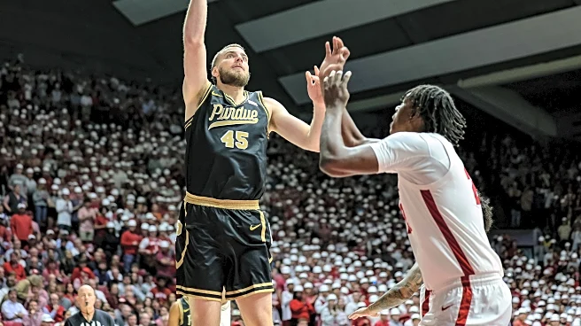 Hammer and Rails Reader Reacts Results – Purdue Men’s Basketball’s Best Newcomer*