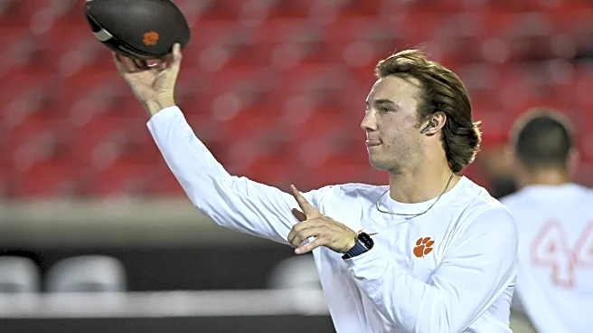 Clemson vs. Louisville: Tigers Squeak by the Cardinals 20-19