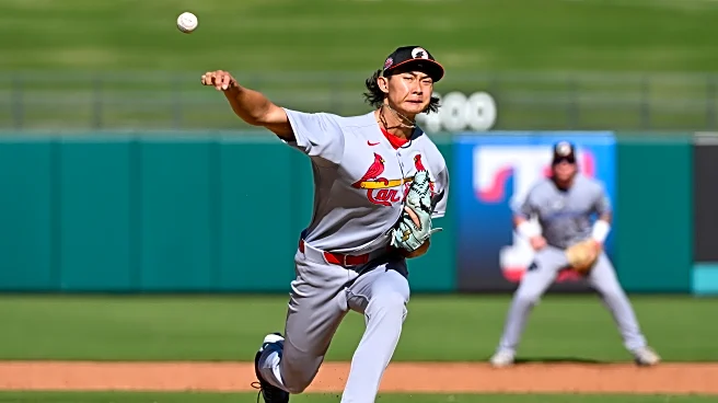How St. Louis Cardinal prospects did in the Arizona Fall League