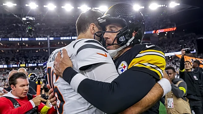 Bengals News (11/15): Slim Margin for Error